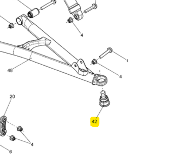 Traggelenk vorne links und rechts unten